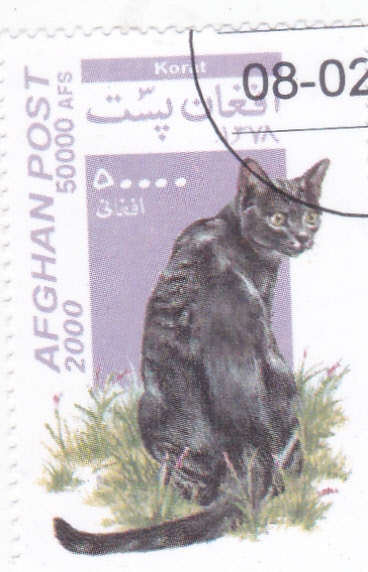 GATO