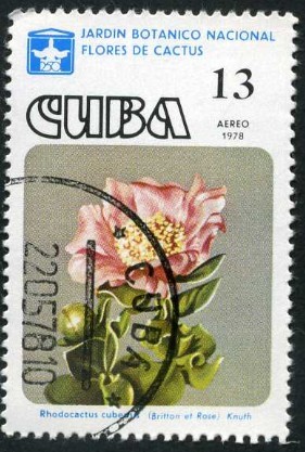 Jardín Botánico Nacional
