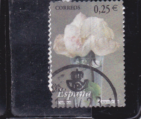 FLOR del naranjo(49)