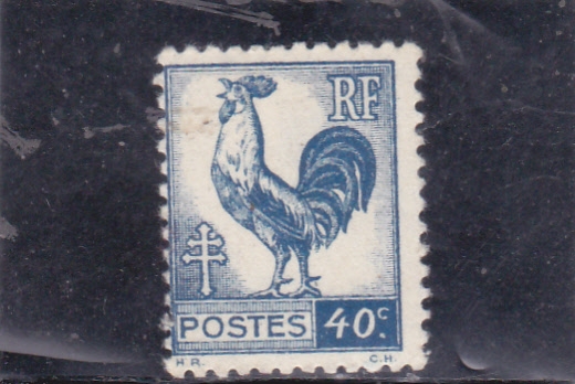 gallo
