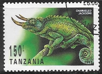 Animales prehistoricos - Chamaeleo