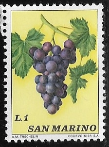 Fruta - Uva