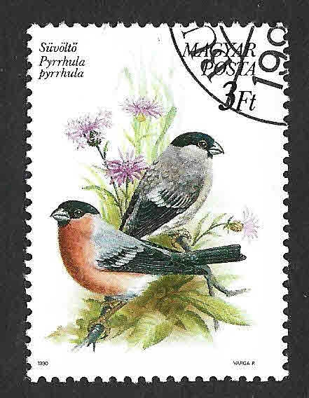 3225 - Camachuelo Común