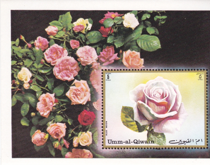 PINTURA-flor