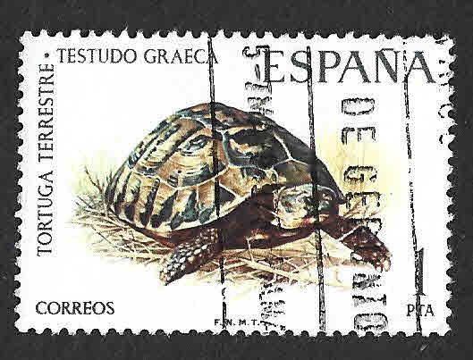 Edif2192 - Tortuga Terrestre