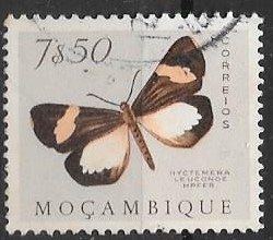 mariposas