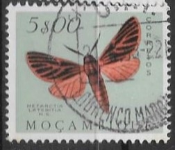 mariposas