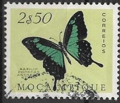 mariposas