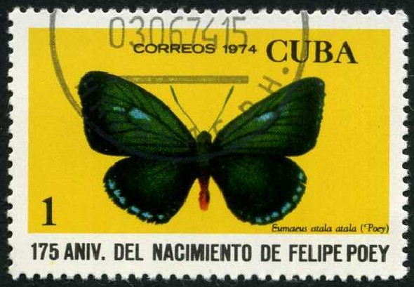 Aniv. Nacimiento Felipe Poey