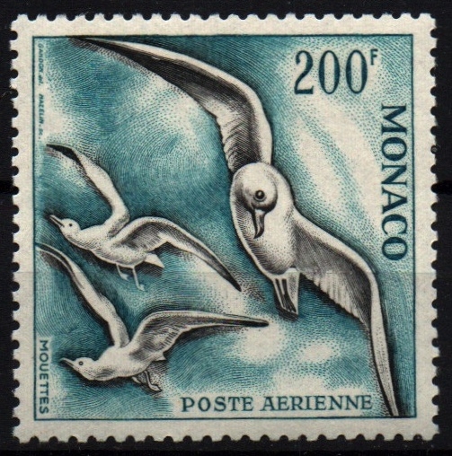 serie- Aves marinas del Mediterráneo