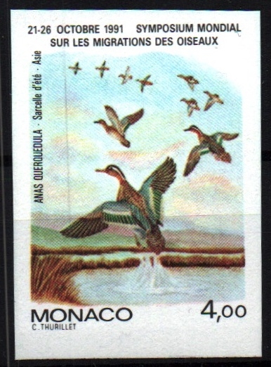 serie- Simposium Mundial sobre migración de las aves