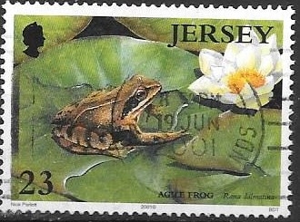 Jersey