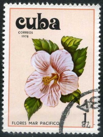 Flores del Mar Pacífico