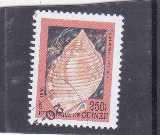 CARACOLA