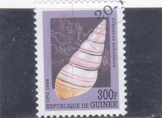 CARACOLA