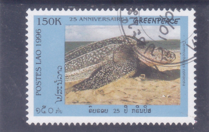 TORTUGAS