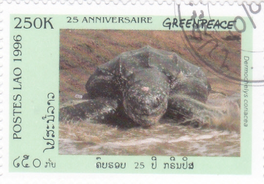 TORTUGA 
