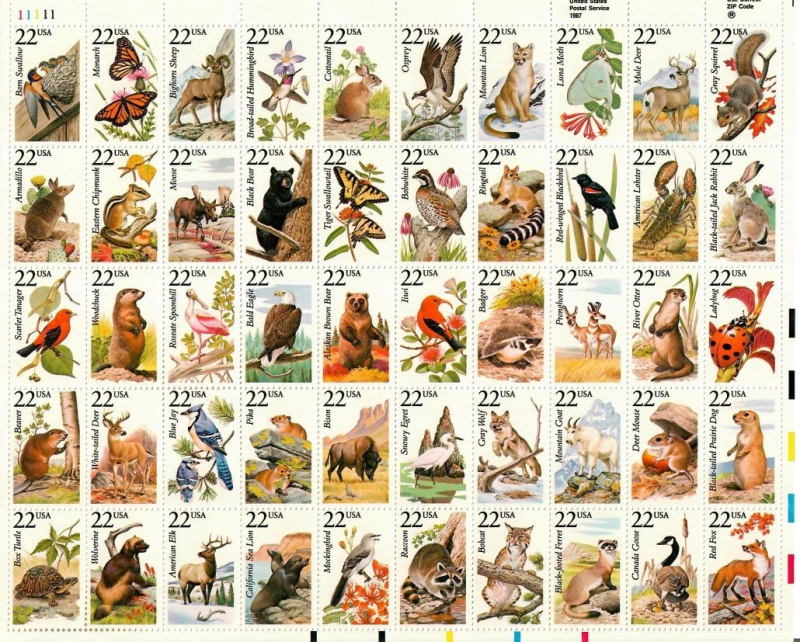Flora y fauna de Norteamerica