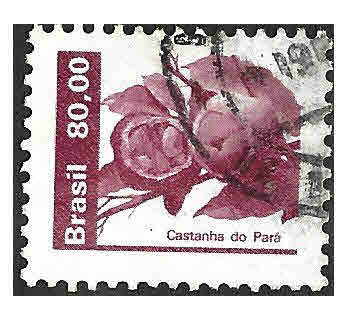 1935 - Nuez de Pará