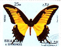 Mariposa