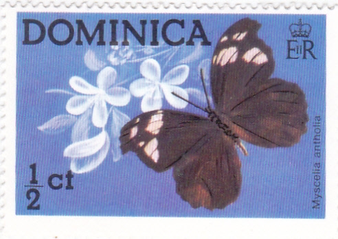Mariposa