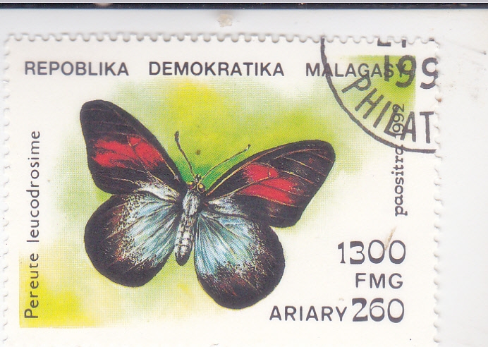 Mariposa