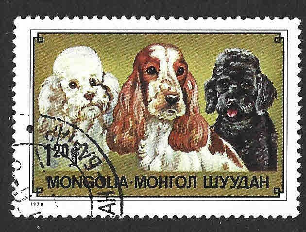 1036 - Cocker Spaniel y Poodles
