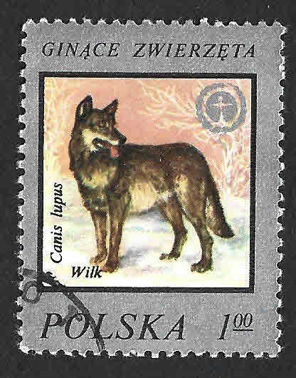 2215 - Lobo