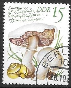 Alemania