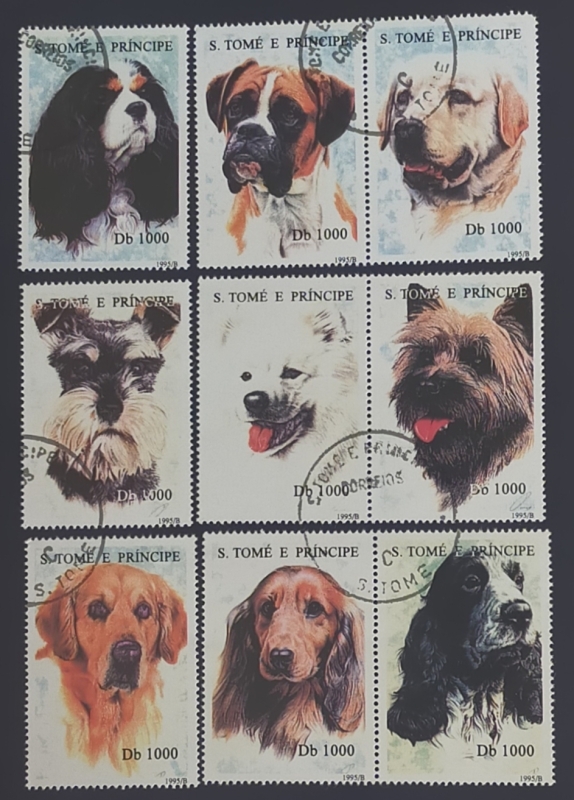 PERROS