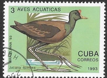 aves