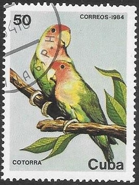 aves