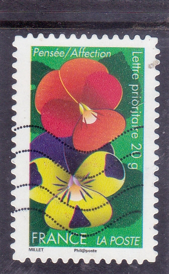 FLORES-