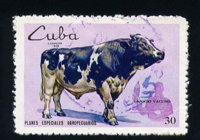 Planes especiales agropecuarios