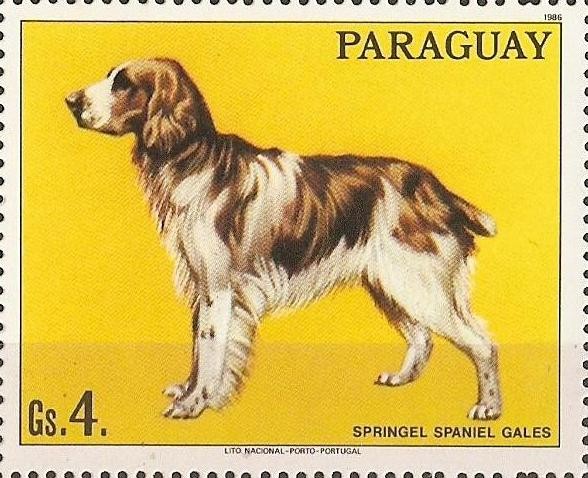 Perros de raza