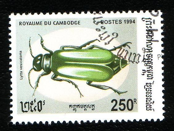 Coleóptero