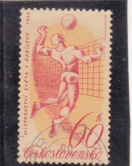 Campeonato Mundial de Voleibol