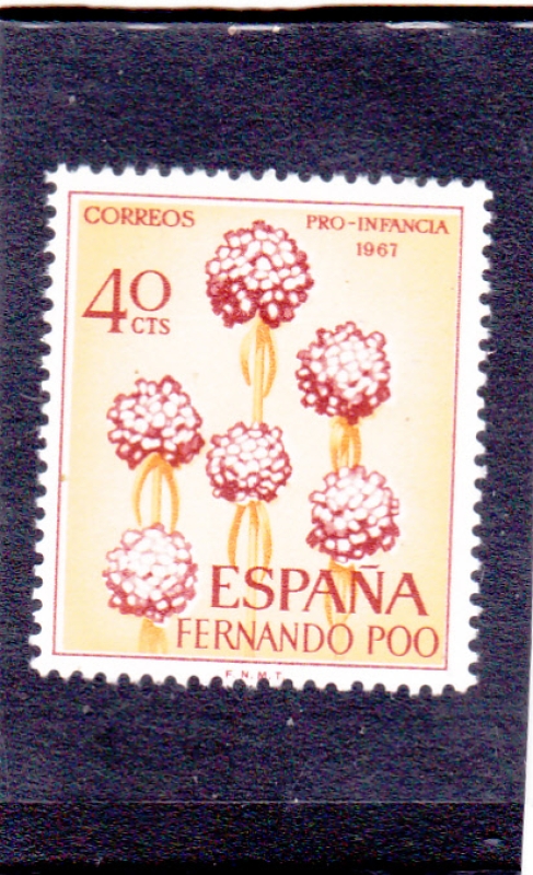 PRO-INFANCIA 1961(51)