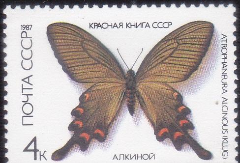 MARIPOSA