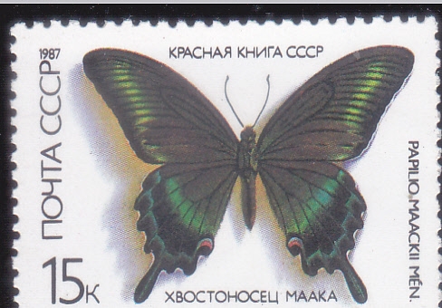 MARIPOSA