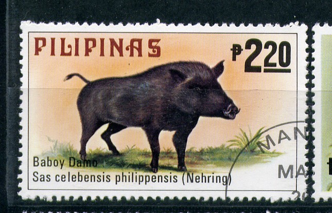 Jabalí filipino