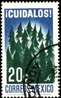 Cuidado y preservación forestal. ¡CUÍDALOS!