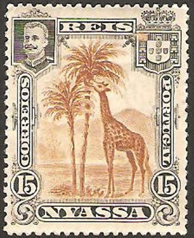 nyassa - carlos 1º, jirafa