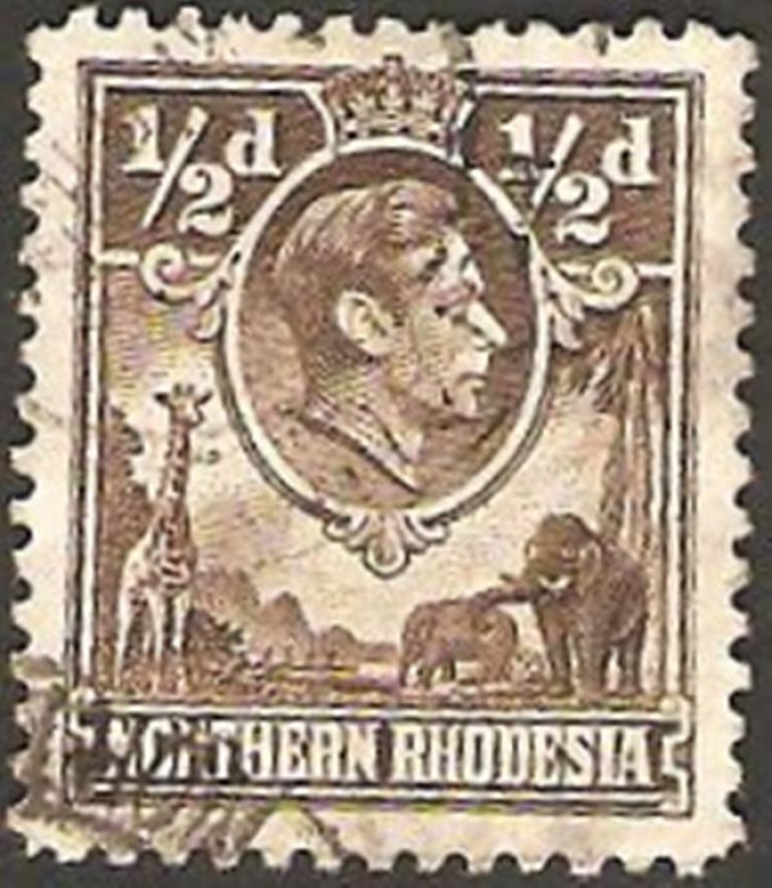 george VI, jirafa y elefantes