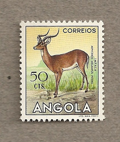 Impala