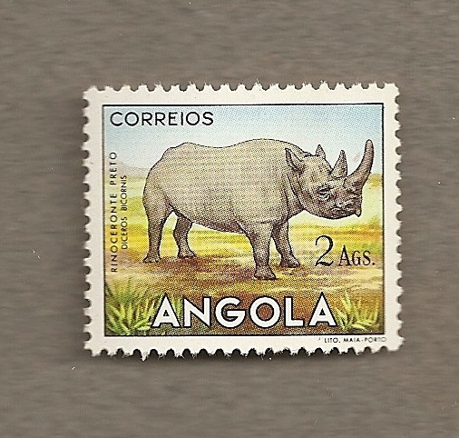 Rinoceronte