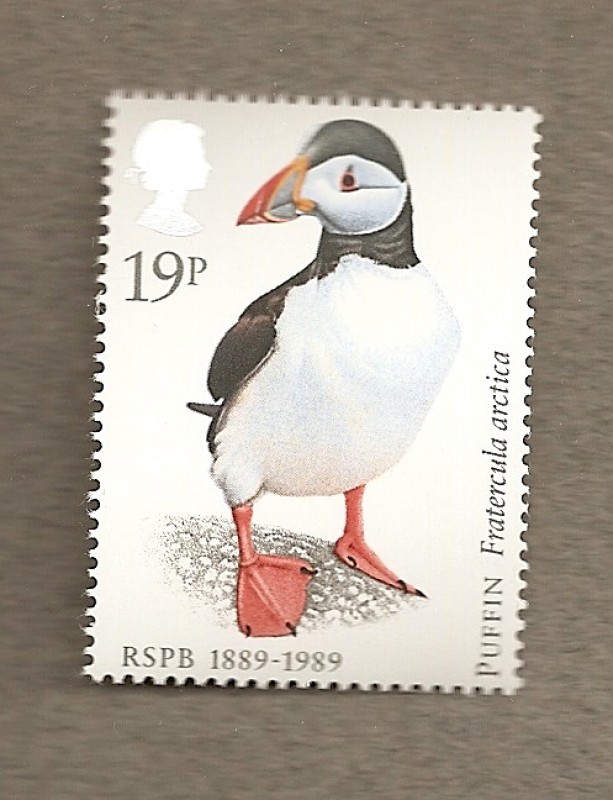 100 Aniv de la Sociedad Protectora de Aves