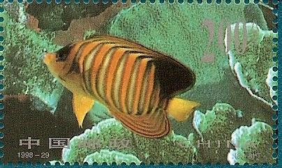 peces tropicales