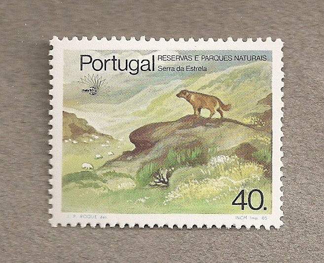 Sierra de la Estrella