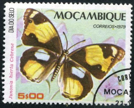 Mariposa